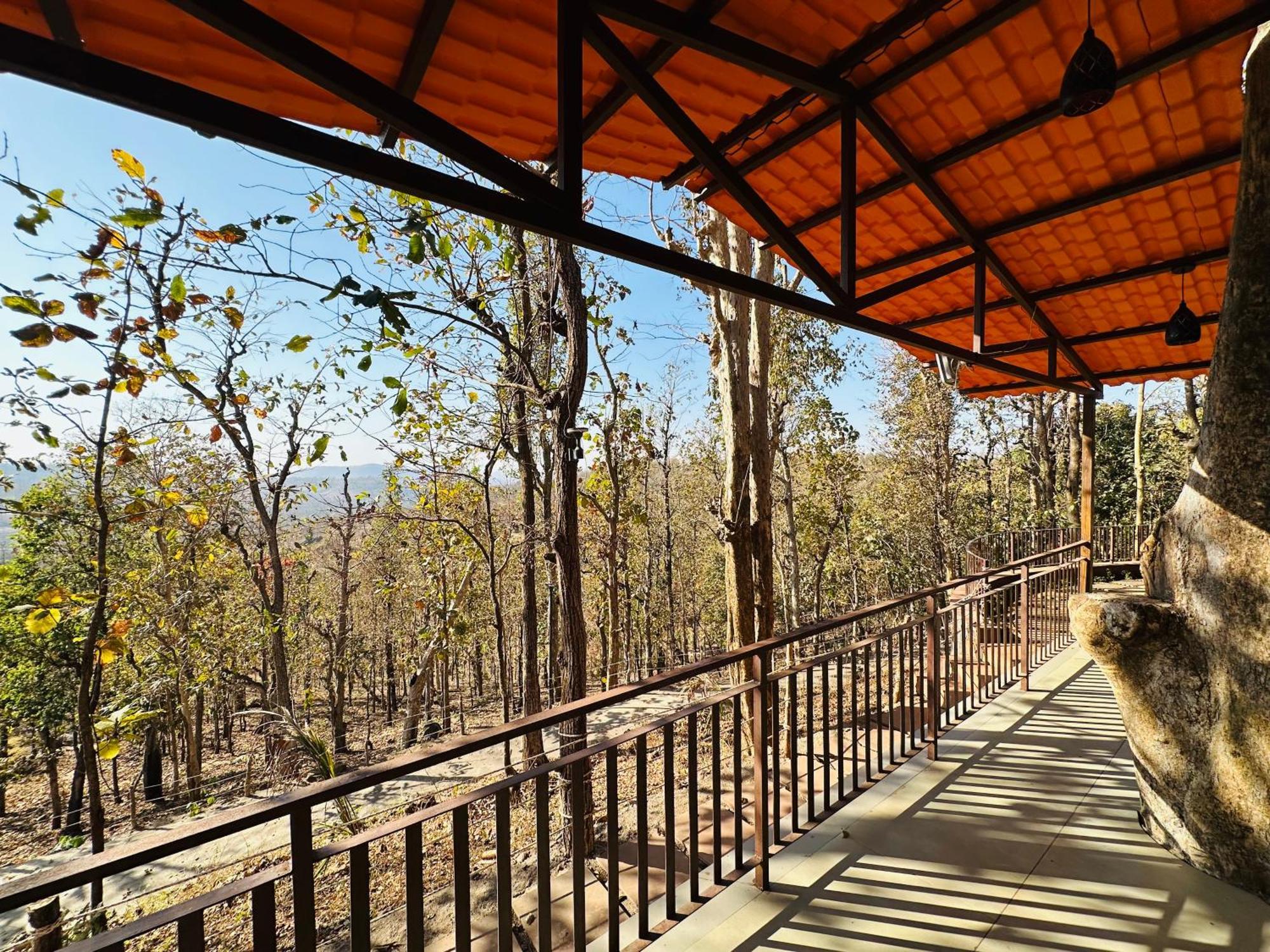 Wild Heaven Glamping And *