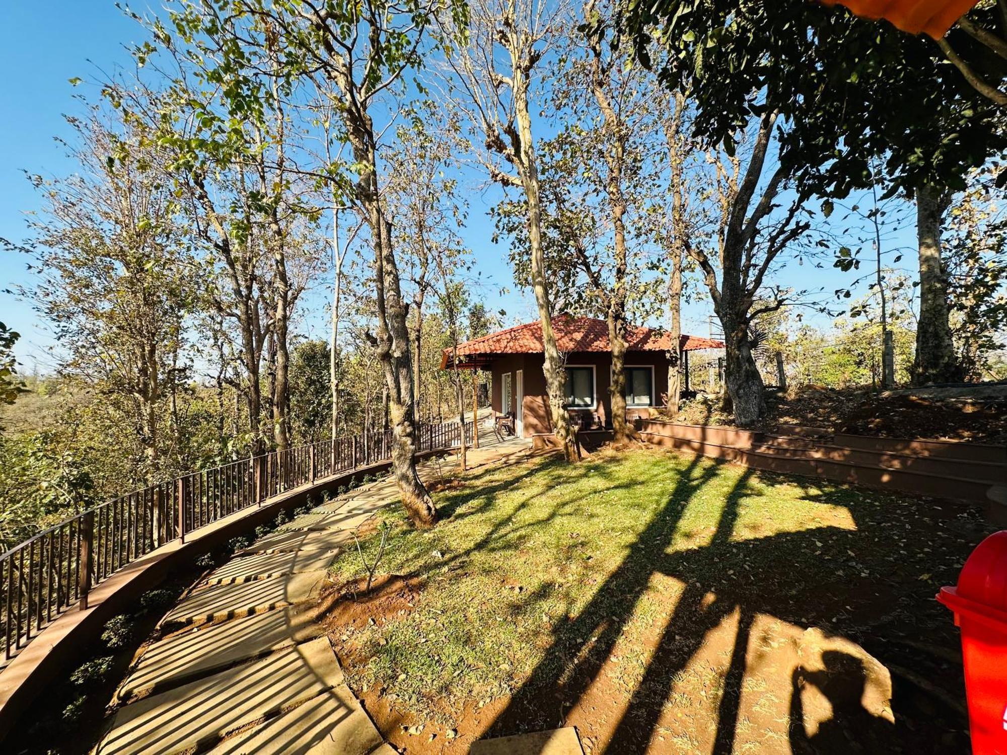Wild Heaven Glamping And *