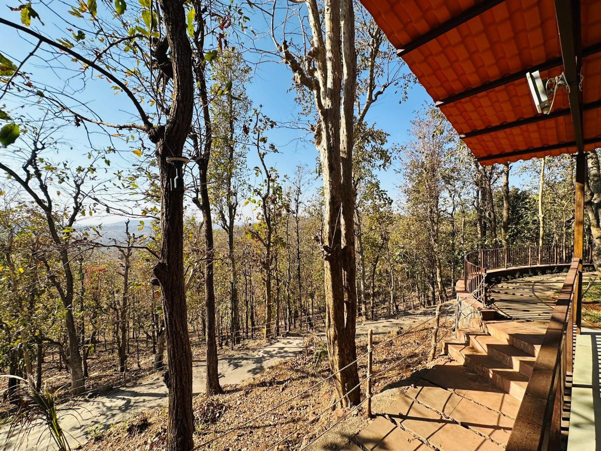 Wild Heaven Glamping And