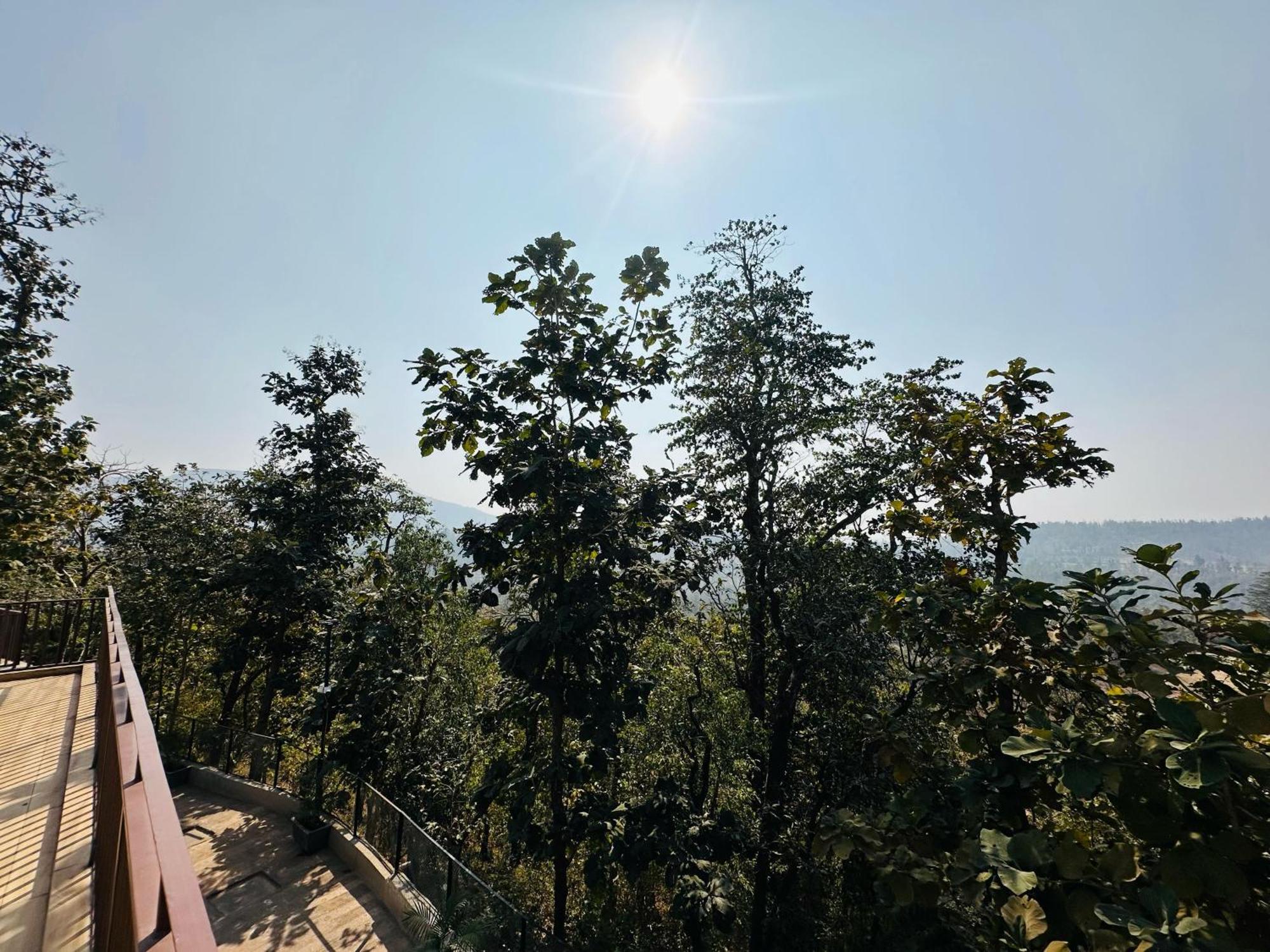 Wild Heaven Glamping And *