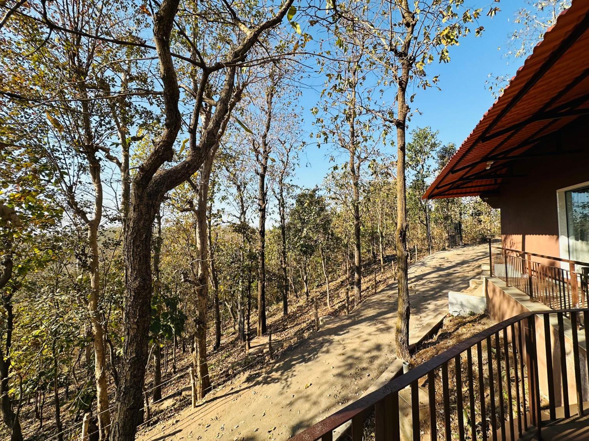 Wild Heaven Glamping And Saputara