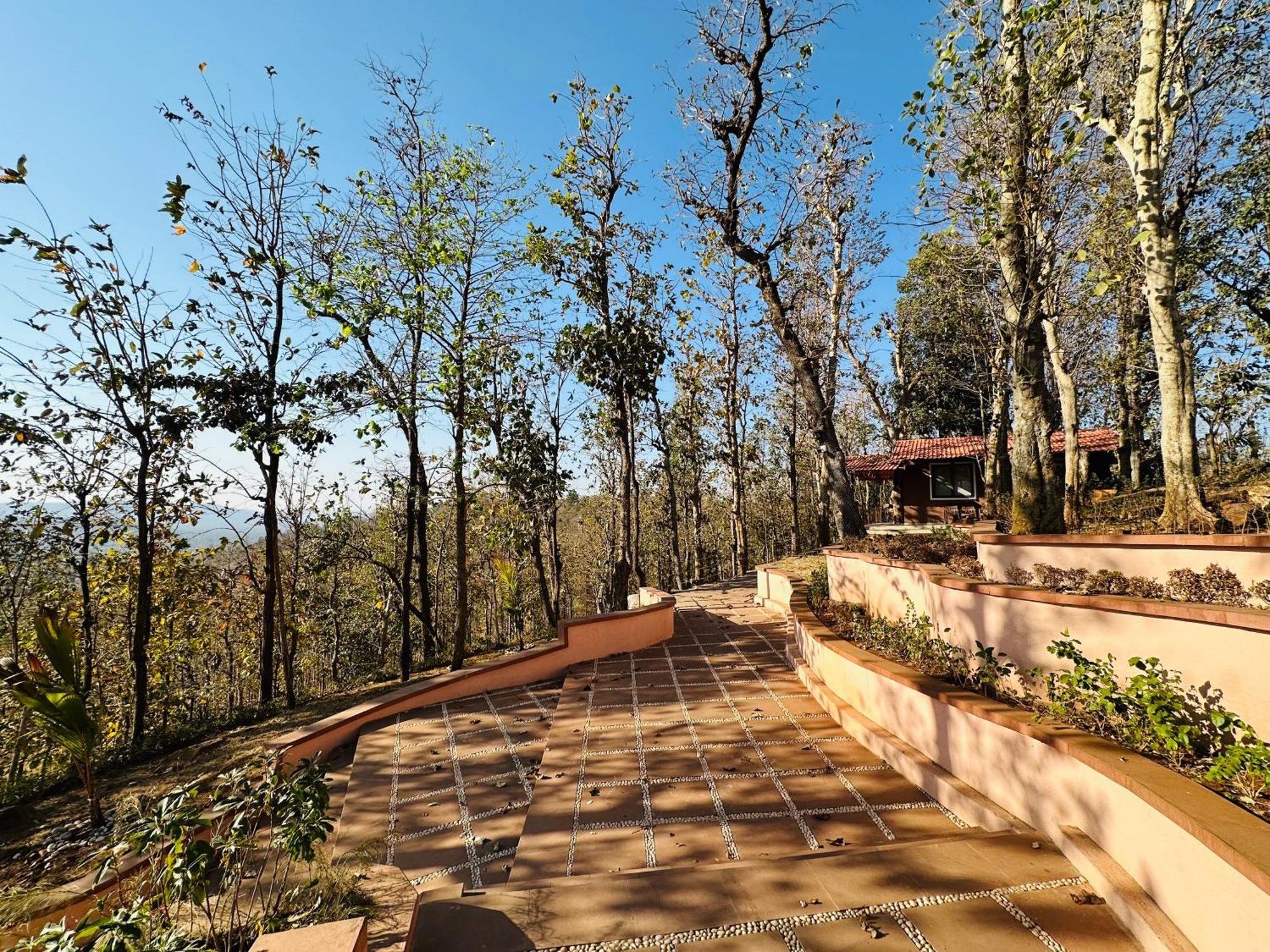 Wild Heaven Glamping And Resort